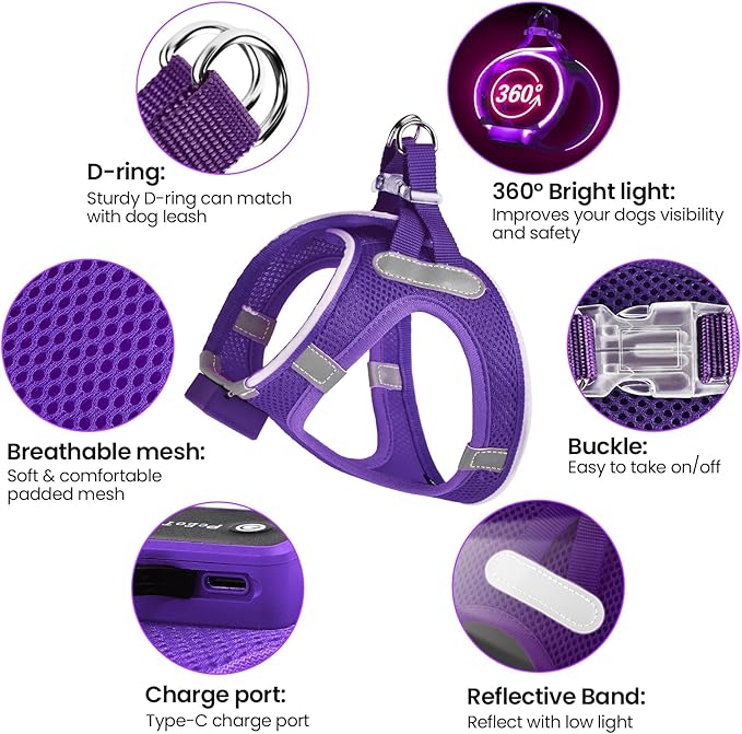 PceoTllar Light Up Dog Harness, LED No Pull Reflective Dog Harness, Flashing Lighted for Night Walking - Small/Medium, (Purple,M)