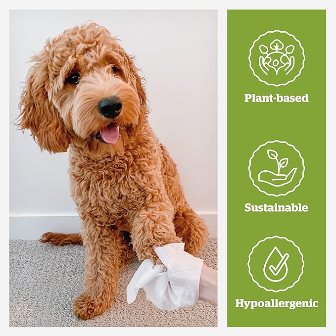 Pogi’s Dog Wipes Travel Packs – Hypoallergenic Pet Wipes for Paws, Body & Butt – Cleaning & Hydrating, Fragrance Free, 240-Count