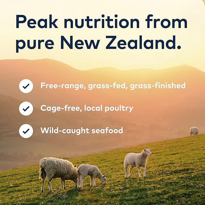 ZIWI Peak Wet Cat Food – All Natural, High Protein, Grain Free, Limited Ingredient, with Superfoods (Mackerel, Case of 6, 3oz Cans)