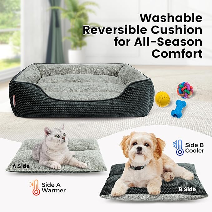 Miguel Washable Cat Beds for Indoor Cats with Removable Cushion/Pillow, Easy to Wash Small Dog Bed with Side, Large Rectangle Kitten Bed Cuddle Puppy Bed with Anti-Slip Bottom, Dark Gray 20 Inch