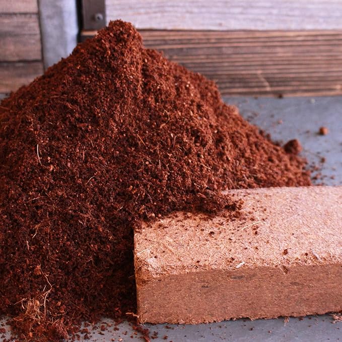 Minute Soil Organic Coco Peat 12 Pack – Lightweight Growing Bricks Expand to 18 Gal – Potting Mix for Microgreens, Herbs, Vegetables, Flowers, Indoor Containers, Seed Trays