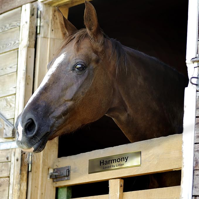Horse Stall Name Plate, 2x6 Personalized Stall Signs, UV Protected, All Weather Adhesive, Hanging, Mounting or Other, Green Plastic with White Letters - Made in USA - B6