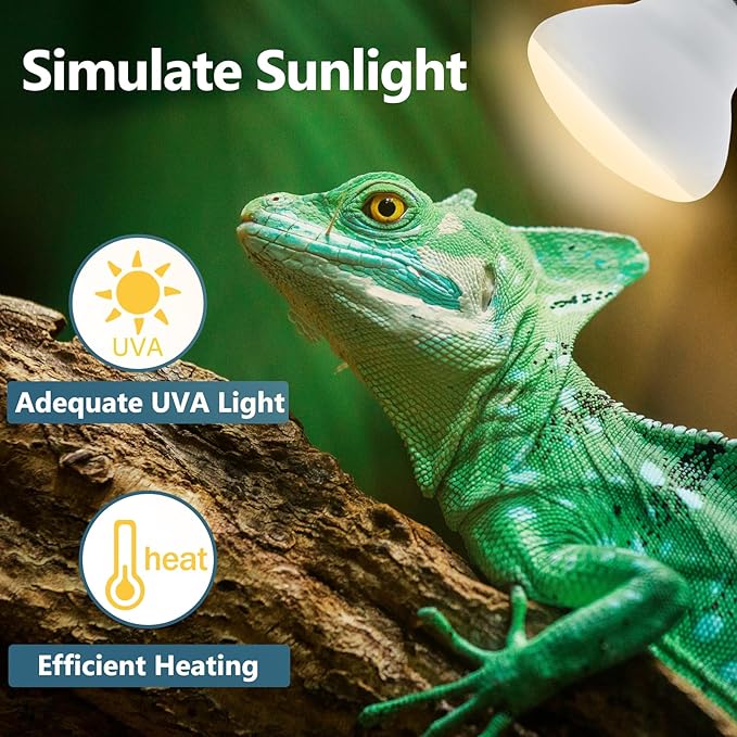 LUCKY HERP Heat Lamp Bulbs - 150W Reptile Heat Lamp 1 Pack, Daylight Basking Heat Lamp Bulbs for Reptile, UVA Heat Light Bulb for Reptiles, Amphibians, Bearded Dragons, Lizards, Turtles, Chickens