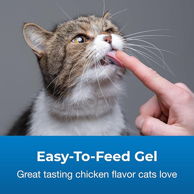 PetAg Vitamin & Mineral Gel Supplement for Cats - 3.5 oz - Provides Basic Daily Vitamins & Minerals for Cats 4 Months and Older - Easy to Digest