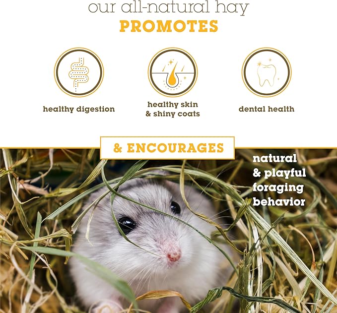 Bunny Honey Organic Alfalfa Hay for Young Rabbits, Guinea Pigs & Small Pets High - Protein & Calcium, Supports Growth & Dental Health, Fresh & Nutritious