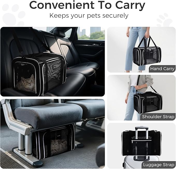 BAGLHER Pet Travel Carrier, Cat Carriers Dog Carrier for Small Medium Cats Dogs Puppies, Airline Approved Small Dog Carrier Soft Sided, Collapsible Puppy Carrier. Black