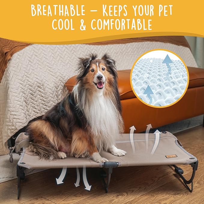 Daisy Cot, Medium Foldable Elevated Dog Bed, Portable Raised Outdoor Folding Dog Cot, Cooling, Chew Proof, Waterproof, Heavy Duty Up to 160 lbs for Camping/Home, Brown, 32"x 19"x6"