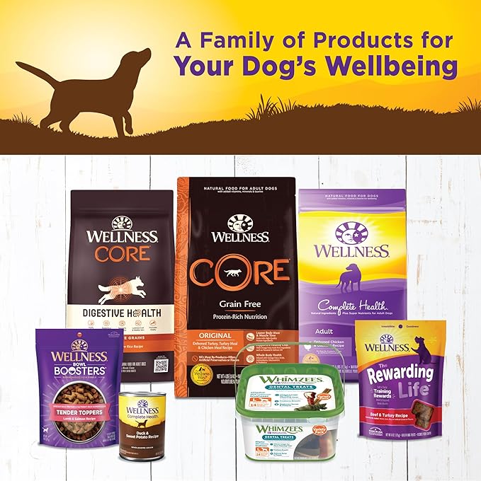 Wellness Complete Health Natural Wet Canned Dog Food, Duck & Sweet Potato, 12.5-Ounce Can (Pack of 12)