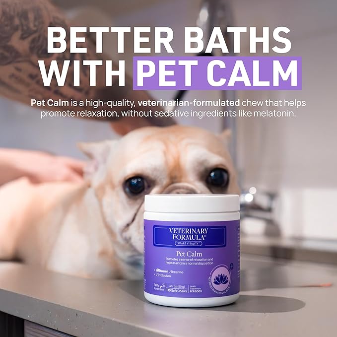 Veterinary Formula Flea and Tick Shampoo for Dogs and Cats, 16 oz