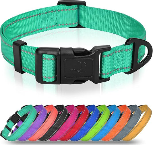 Joytale Reflective Dog Collar, Adjustable Nylon Pet Collar with Quick-Release Buckle for Medium Dogs, Teal, M