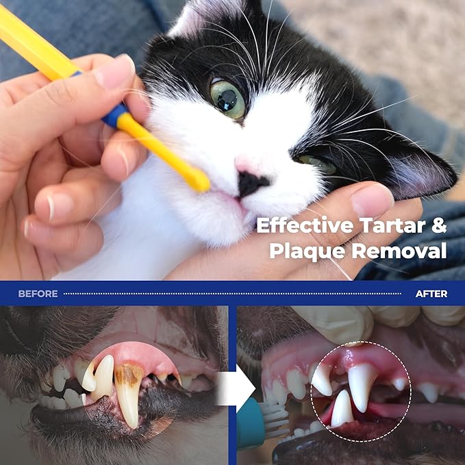 PETHROOM] Pet Toothbrush - Cats, Kitten, Small Dog Dental Care, Removing Teeth Tartar | Soft Bristle Cleaning Toothbrush Cat (Extra Small)