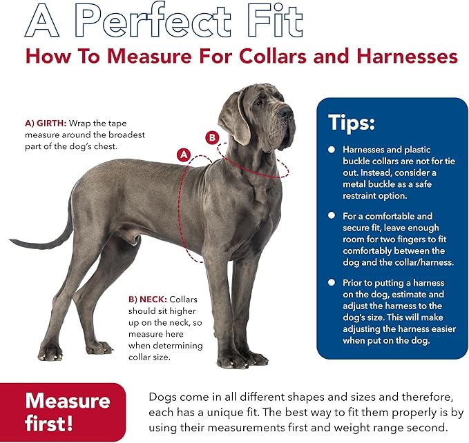 Coastal Pet SecureAway Collar Protector for Flea Collars - Adjustable pet Accessory - Protective Flea Collar for Dogs & Puppy - Multi Paws, 5/8" x 8-12"