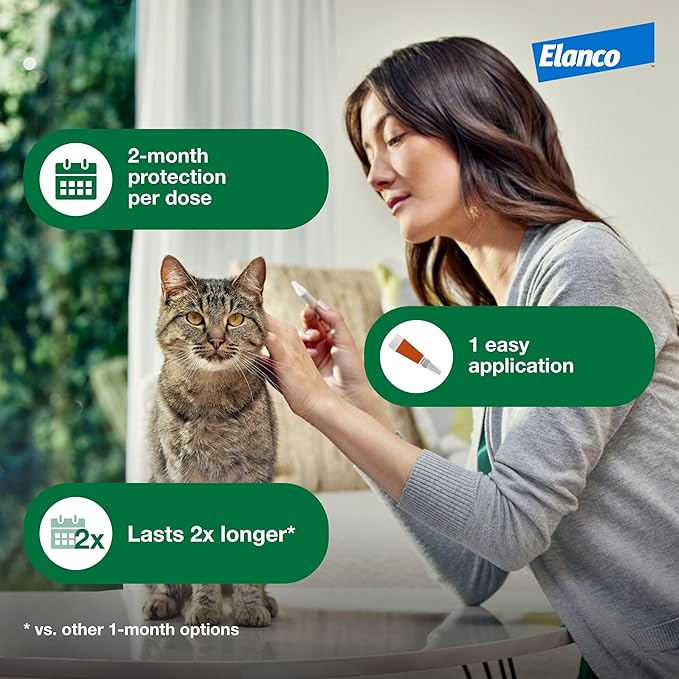 Advantage XD Small Cat Flea Prevention & Treatment For Cats 1.8-9lbs. | 4-Topical Doses, 2-Months of Protection Per Dose