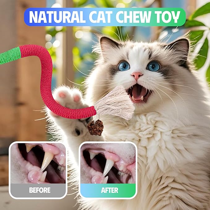 Cat Toys Chew Rope & Silvervine Sticks for Bored Indoor Adult Cats, 4Pcs Interactive Catnip Toys for Cats with Refillable Natural Catnip Bag for Teeth Cleaning