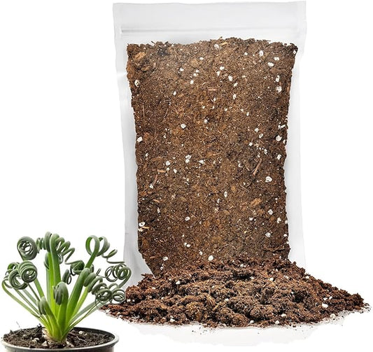 Gardenera Premium Albuca Spiralis Potting Soil Mix - Perfect Balance of Nutrients, Drainage, and Aeration for Thriving Blooms - 4 Quart