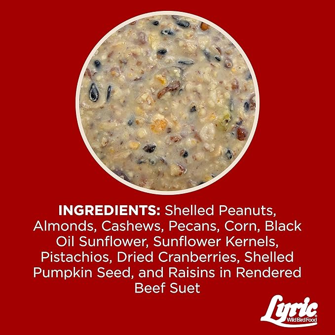 Lyric Fruit & Nut Wild Bird Seed Suet Cakes for Wild Birds, 12 oz. (12 Pack)