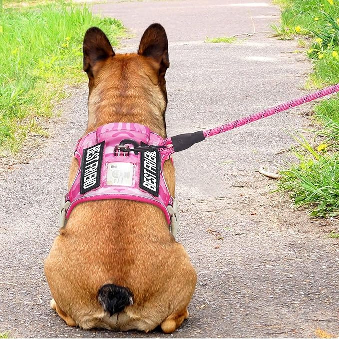 Heavy Duty Tactical Dog Harness for Medium Dogs, No Pull Adjustable Pet Harness Reflective Service Training Easy Control Pet Vest Military K9 Working Dog Harnesses- Medium, Pink Camo