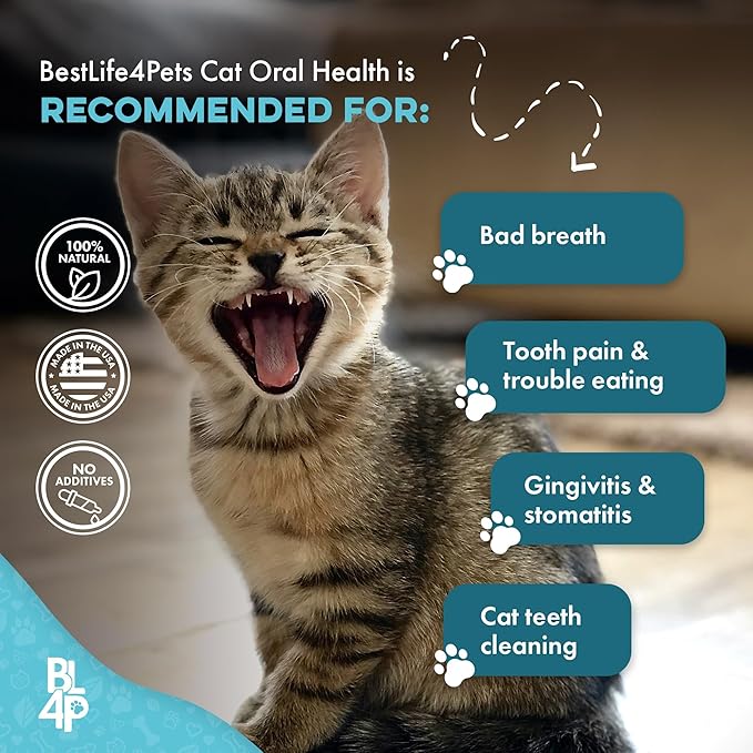 Cat Dental Supplement for Bad Breath, Tartar & Gum Support – Natural Oral Tablets for Fresh Breath, Teeth & Gum Wellness and Plaque Control – Odorless & Tasteless – 400 Easy-to-Give Pills