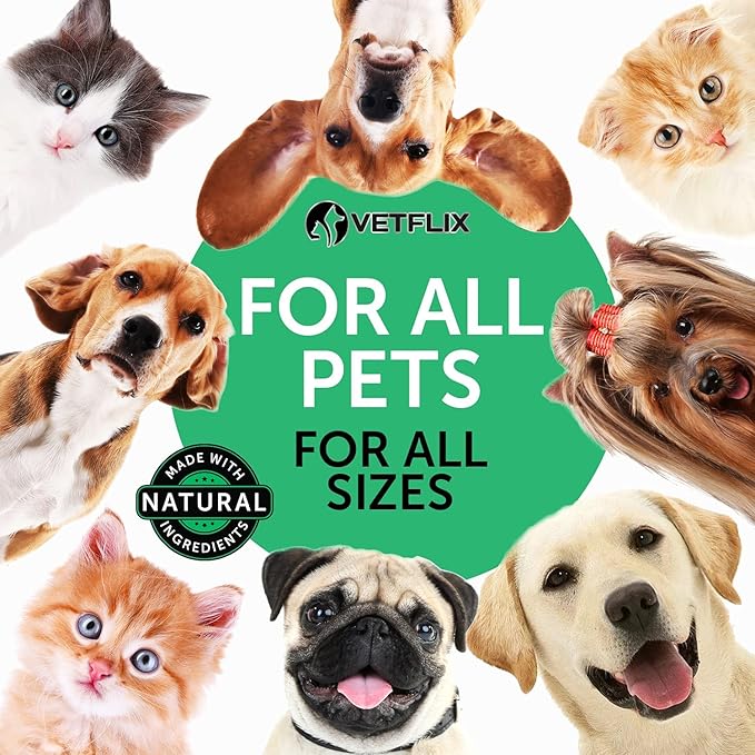 Kennel Cough Treatment for Dogs & Cats - Made in USA - Dog Allergy & Cat Asthma Relief - Mullen Leaf & Elderberry Blend - Dry, Wet & Barky Cough Relief for Dogs & Cats - All Breeds & Sizes - 2 Fl Oz