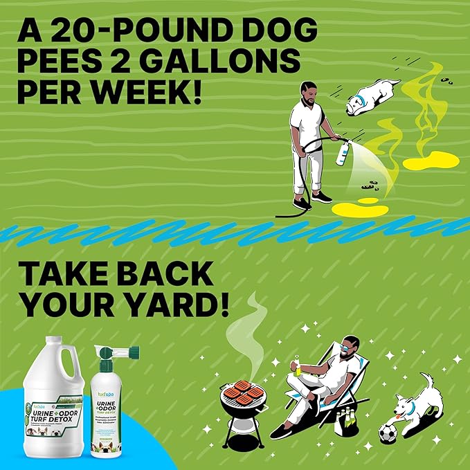 Urine & Odor Turf Detox: 2- Pack of Mango 32 oz Professional Enzyme Cleaner & Odor Eliminator for Artificial Grass, Turf, Concrete, Patio & Kennels, Pet Urine Enzymatic Cleaner for Dogs & Cats