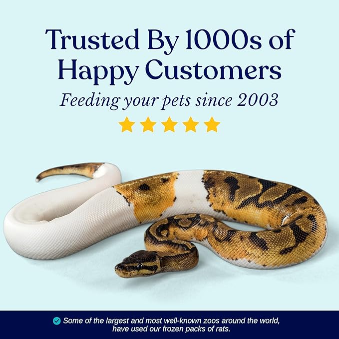 MiceDirect EST. 2003 50 Frozen Rat Small Feeders Snake Food for Adult Ball Pythons and Red Tail Boas Lizards Monitors (4.5-6 in)(2250 Grams Min)