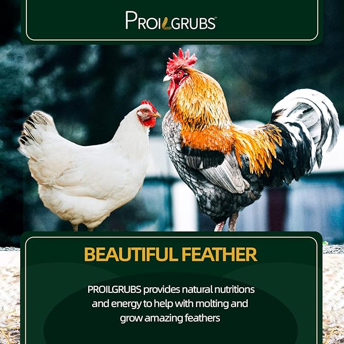 PROILGRUBS 30 LBS All Natural Black Soldier Fly Larvae Treats - Non-GMO Dried Grubs for Chickens, Hens, Birds - Meal Worms