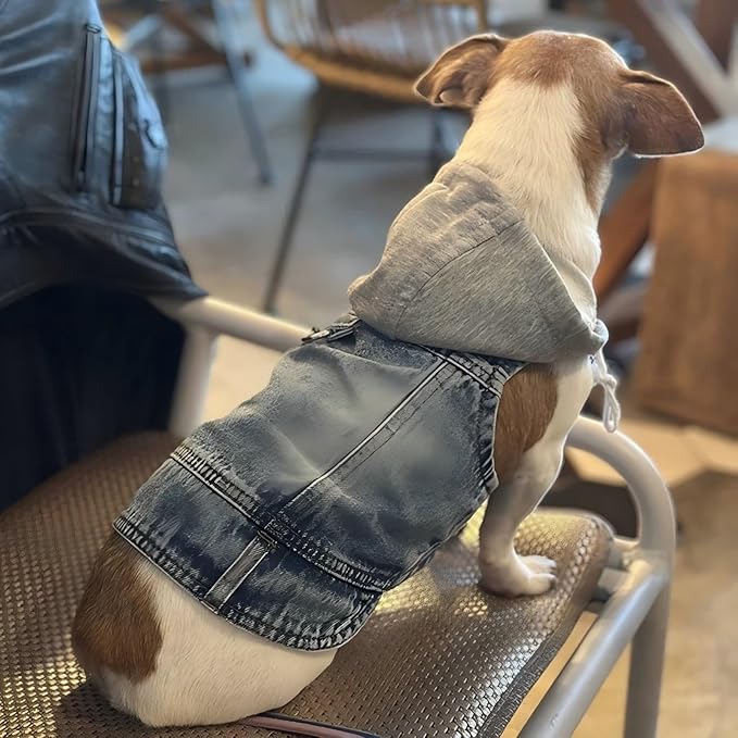Puppy Harness Jacket for Small Dogs - Breathable Soft Dog Clothes with D-Ring for Leash, Lightweight Comfort Vest for Small Breed Puppies, Cats