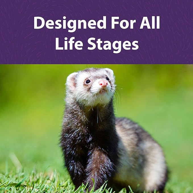 Mazuri | Ferret Diet | 25 Pound (25 LB) Bag