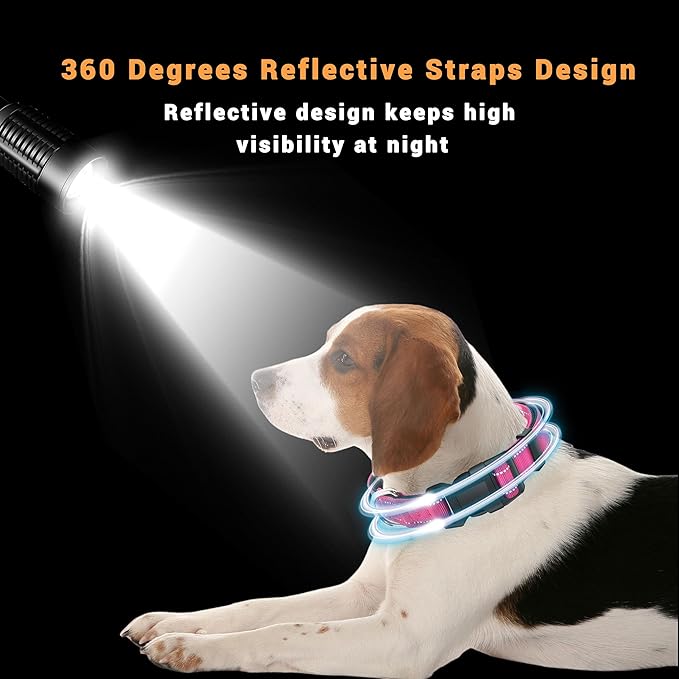 2 Pack Reflective Dog Collar with Safety Locking Buckle, Adjustable Soft Breathable Comfortable Nylon Pet Collar for Small, Medium and Large Dogs, Hotpink, XS