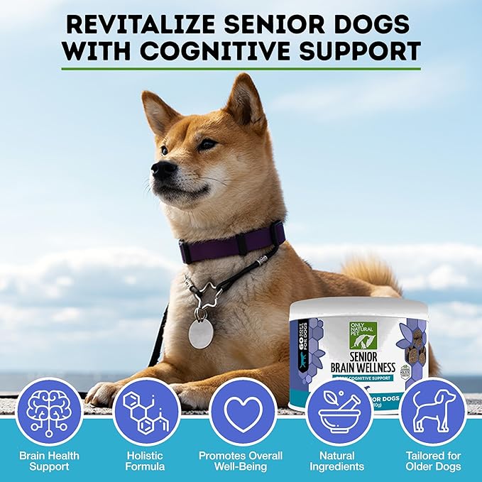 ONLY NATURAL PET Senior Brain Wellness Dog Chews - Small, Medium & Large Breeds, Toothless & Geriatric Dogs, Soft Chicken & Bacon Flavor Snacks, Baked Treats - 60 Count
