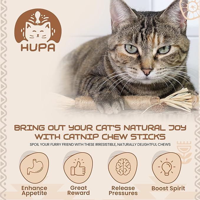 Catnip Silvervine Sticks for Cats | Silver Vine Chew Toy or Cat Chew Stick | Kitten Teething Toys | Cat Dental Chew with Cat Raffia Grass for Healthy Teeth & Digestion | Silvervine Cat Toy | 2 Sticks