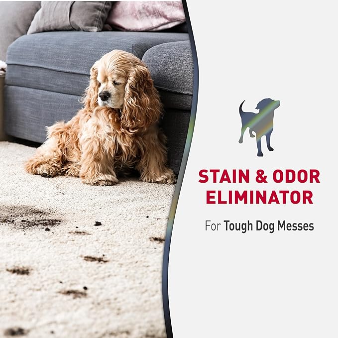 Nature’s Miracle Advanced Stain and Odor Eliminator Dog Spray, Fresh Scent, Severe Mess Enzymatic Formula For Tough Pet Messes, 32 Ounces