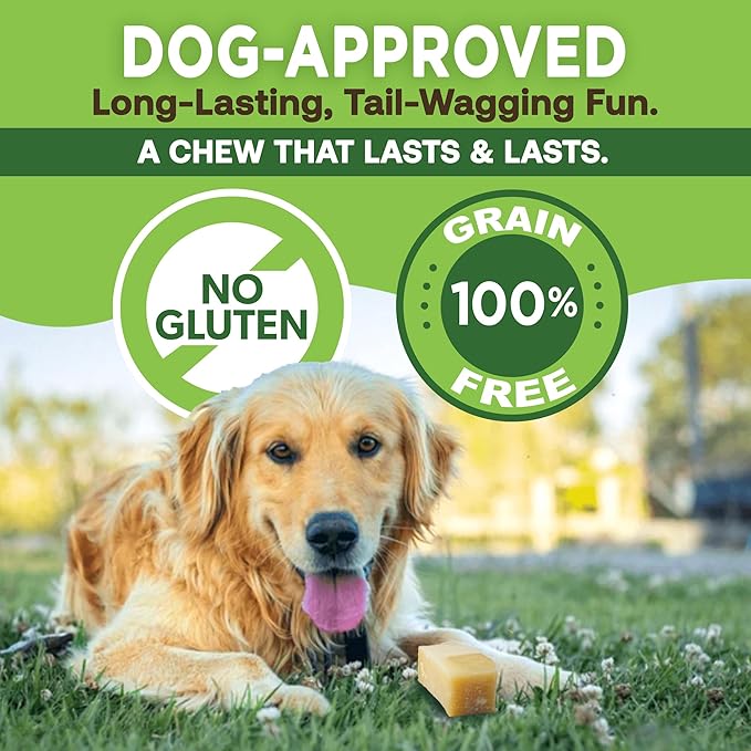 EcoKind Himalayan Gold Yak Cheese Chew for Small Dogs, Healthy Treats, Odorless, Long Lasting Bones, Rawhide Free, Made in The Himalayans, Small (Pack of 4)