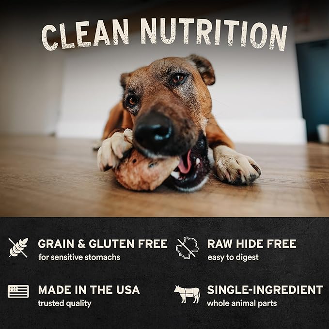 Vital Essentials Freeze-Dried Raw Pig Snout Dog Treat & Long-Lasting Natural Chew, 3-Pack | Single Ingredient Dog Treat for Aggressive Chewers | Made in USA