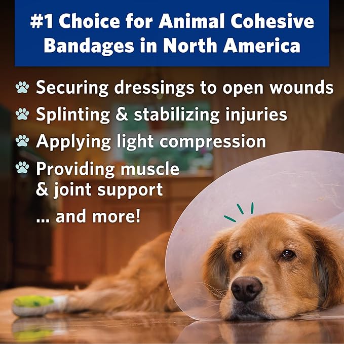 PetFlex Color Pack – Flexible Self-Adhering Elastic Bandage for Wound Care – First Aid Wrap for Small Animals Like Dogs, Cats, and Other Pets - 2 inch, 6 Rolls