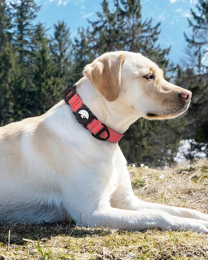 Joytale Airtag Dog Collar, Reflective Pet Collar with Waterproof AirTag Holder, Dual D-Rings, Soft Padded Adjustable for Extra Small and Puppy Dogs, Neon Pink, XS