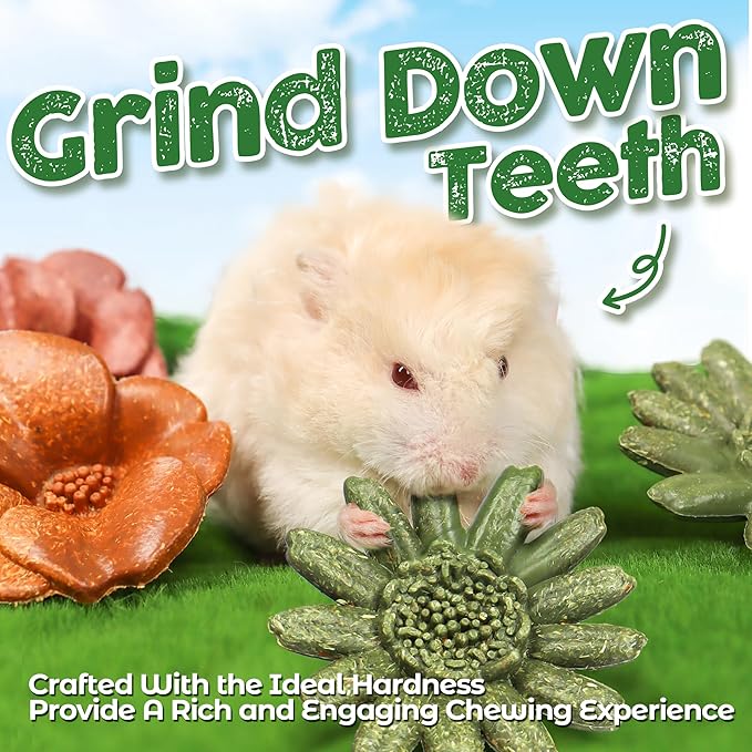 TEEWY Guinea Pig Chew Toys, Prevent Teeth Overgrowth, Natural Timothy Grass & Vegetables, Hamster Chew Toys, Guinea Pig Toys, Chinchilla Toys, 4PCS, Grass Patch & Flowers
