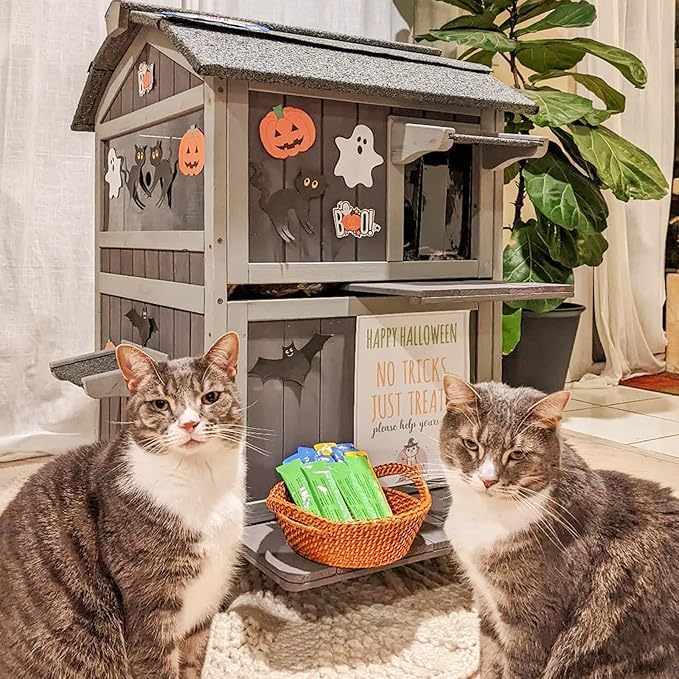 Aivituvin Outdoor Cat House，Two-Story Feral Cat Shelter，Weatherproof Cat Enclosure for Winter with Escape Doors
