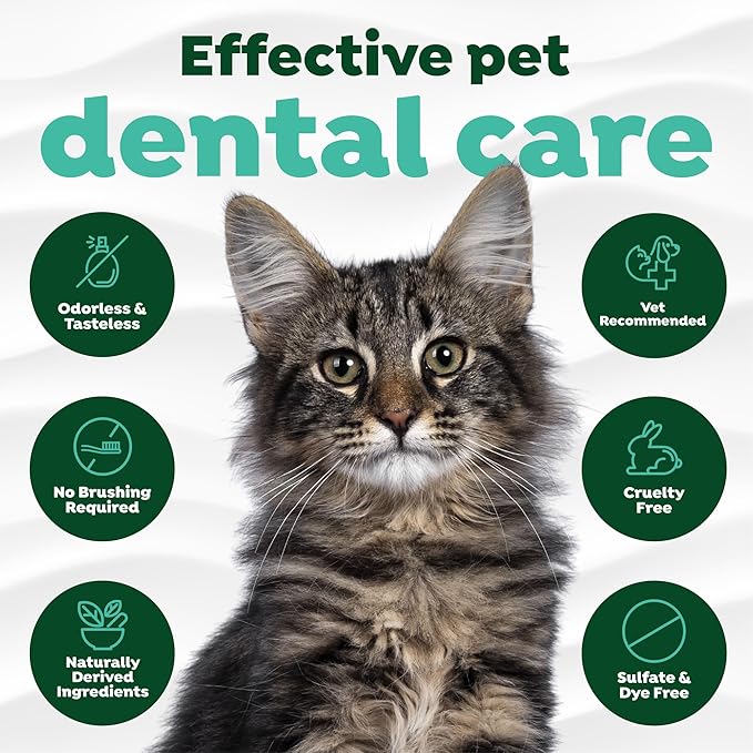TropiClean Fresh Breath Drops for Cats Travel Size | Cat Mouthwash | Water Additive For Cats | Kitten Bad Breath Water Additive | Made in the USA | 2.2 oz.  