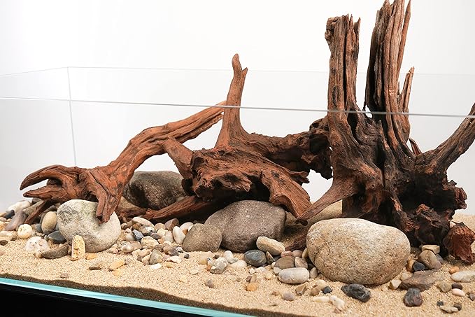 LANDEN Panna Natural Driftwood for Aquarium Decor Freshwater Fish Tank(12-14 inches, 30-35cm) 4pcs Terrariums Vivariums Reptile and Amphibian Enclosures Lizard Bearded Dragon Tortoise Various Shapes