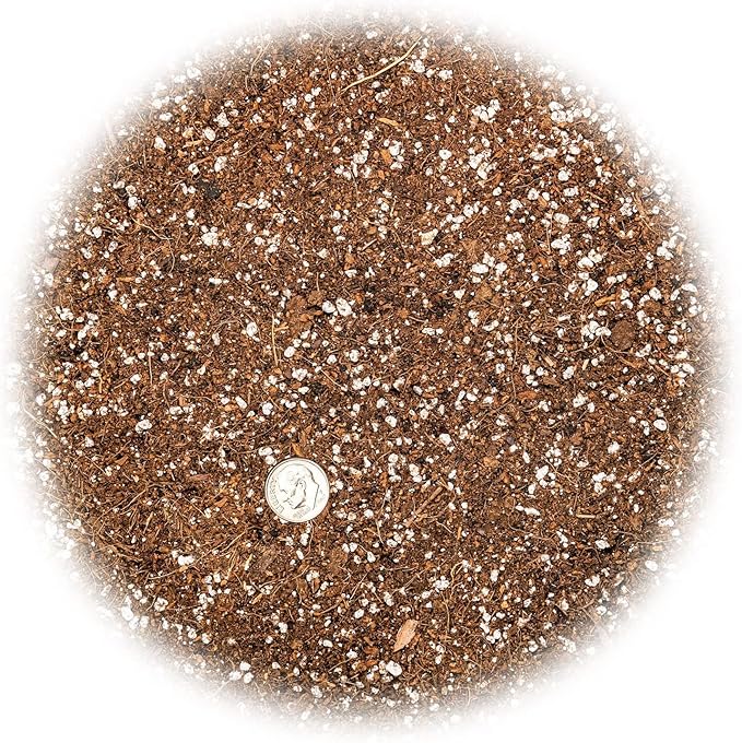 Gardenera Professional Carnivorous Plant Soil - Ready to Use for Venus Flytraps, Sundews, Pitcher Plants, Butterworts | Peat Moss, Coco Coir, Perlite - 3 Quart Bag
