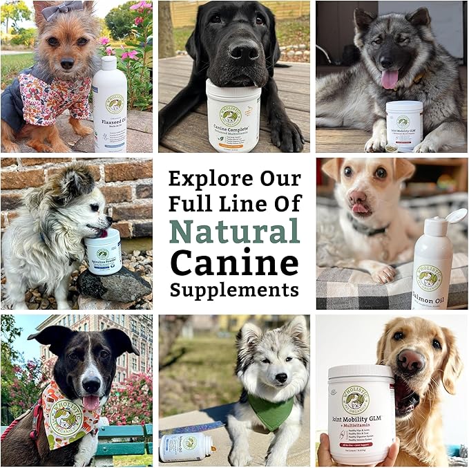 Wholistic Pet Organics Canine Complete - Dog Multivitamin Powder - 1 Lb - Daily Dog Vitamins and Supplements for Homemade Food - Immune System, Skin, Coat & Overall Health - Small and Large Breed