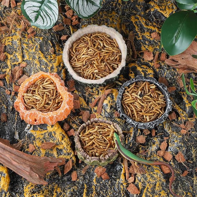 IBWell 2pcs Reptile Water Bowl with Feeding Tweezers - Reptile Food Dish for Lizard, Snake, Tortoise & Small Animals - Wooden Tree Stump