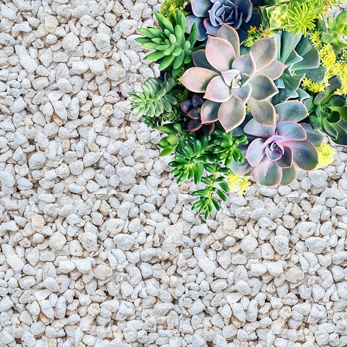 Perlite for Plants, Coarse and Chunky Horticultural Perlite, Organic Perlite for Gardening Indoor & Outdoor, Perlite Bulk Bag, Made in USA (30 quarts)