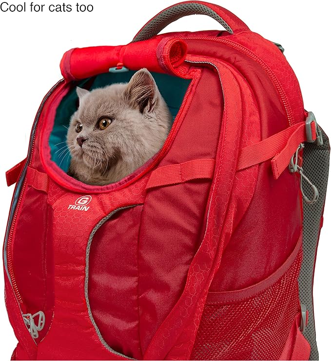 Kurgo G-Train Dog Carrier Backpack - Comfortable Travel Bag for Pets Up to 25 lbs - Waterproof Bottom - Multi-Compartment Pack - Dog Hiking Gear - Rugged Adventure Backpack - Red