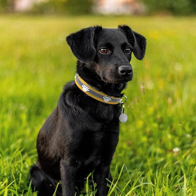 PETCARE Reflective Dog Collar with Cute Paw Rivet Studded Funny Soft PU Leather Adjustable Puppy Dog Collars for Small Medium Large Dogs Cats (Yellow,Large)