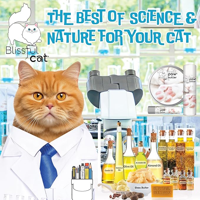 The Blissful Cat Paw Butter, Moisturizer for Dry Paw Pads, Softens and Protects a Rough Paw, Versatile, Lick-Safe Cat Paw Balm, 1 oz.