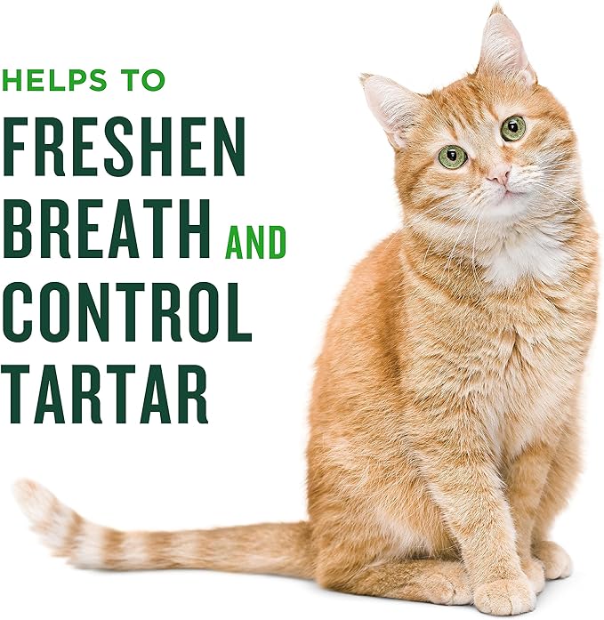 Minties Dental Treats for Cats, Chicken Flavored Treats for Cats, Freshens Breath and Controls Tartar, 10oz