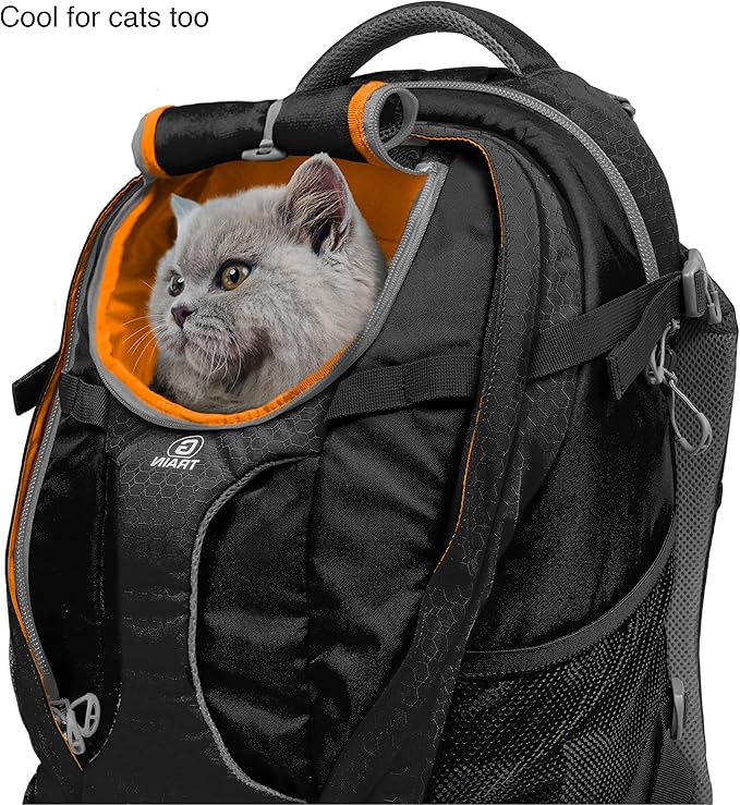 Kurgo G-Train Dog Carrier Backpack - Comfortable Travel Bag for Pets Up to 25 lbs - Waterproof Bottom - Multi-Compartment Pack - Dog Hiking Gear - Rugged Adventure Backpack - Black