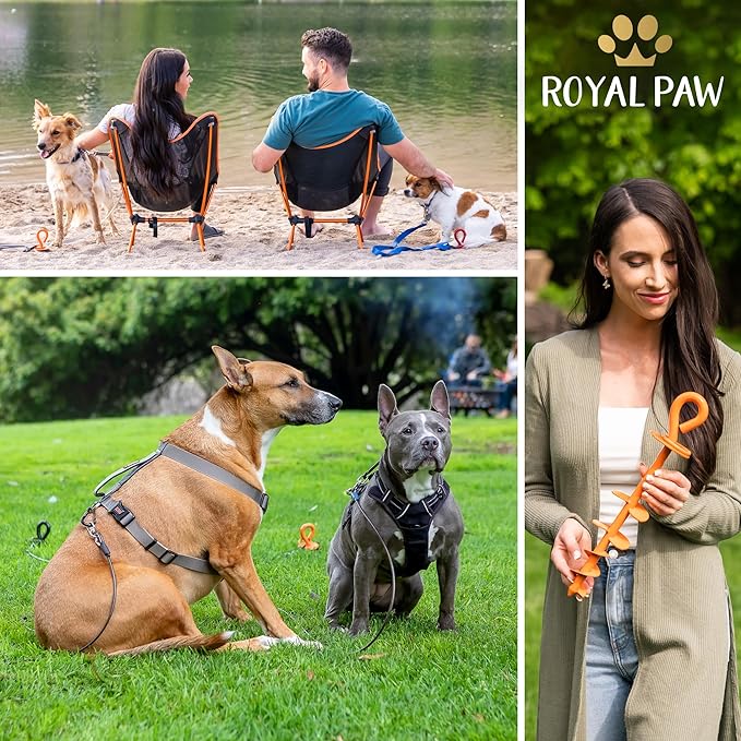ROYAL-PAW Dog Tie Out Stake - for Large Dogs up to 210 lbs - Heavy Duty Dog Stake for Yard, Beach & Camping Outside - Best in Ground Anchor for a Dog Cable, Leash, Lead Tether (1, Royal Orange)